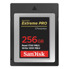 Карта пам'яті SanDisk 256GB CFexpress Extreme Pro (SDCFE-256G-GN4NN)