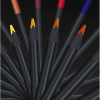 Олівці кольорові Faber-Castell Black Edition colour pencils 24 кольора тригранні чорне дерево, (116424) (31227)