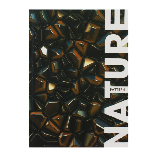 Блокнот Optima А4 NATURE спіраль 96 аркушів, клітинка (O20294-07)