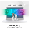 USB флеш накопичувач Lexar 64GB V100 USB 3 (LJDV100-64GABGY)