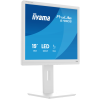 Монітор iiyama B1980S-W1