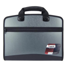 Папка - портфель Axent А4, 4 compartments, grey metallic (1621-11-А)