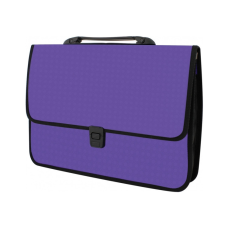 Папка - портфель Economix на застежке, фактура Вышиванка, фиолетовый (E31641-12)