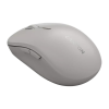 Мишка Canyon MW-12 Wireless/Bluetooth Grey (CNS-CMSW12DG)