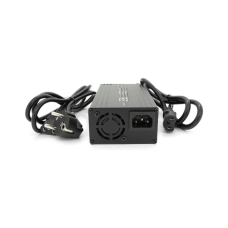 Мережевий зарядний пристрій для АКБ Voltronic LiFePO4 24V(29.2V), 8S, 10A (YT-2410-8S-C13)