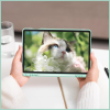 Чохол до планшета BeCover Soft Edge Samsung Galaxy Tab S9 (SM-X710/SM-X716) / S9 FE (SM-X510/SM-X516B) 11.0" Green (710776)