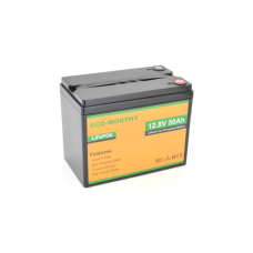 Батарея LiFePo4 Dyness 12,8V 50Ah (50/50A) (Eco-Worthy-1250)