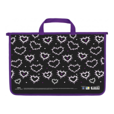 Папка - портфель Maxi А4 пластиковий на блискавці (MX30056)