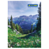 Канцелярская книга Buromax А4, 96 л., Клетка, твердая ламинированная обложка (BM.2430)