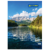 Канцелярская книга Buromax А4, 96 л., Клетка, твердая ламинированная обложка (BM.2430)
