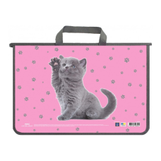 Папка - портфель Maxi А4 пластиковий на блискавці (MX30059)