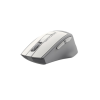 Мишка A4Tech FG30 White (4711421944700)