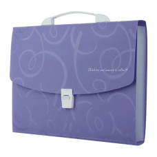 Папка - портфель Buromax A4/35мм, BAROCCO, violet (BM.3719-07)