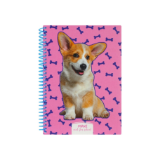 Блокнот Maxi А5, пластикова обкладинка, спіраль, 80 арк., клітинка (MX21950-03)