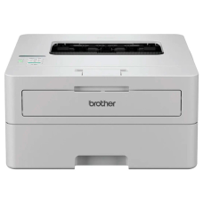 Лазерный принтер Brother HLB2180DWYJ1
