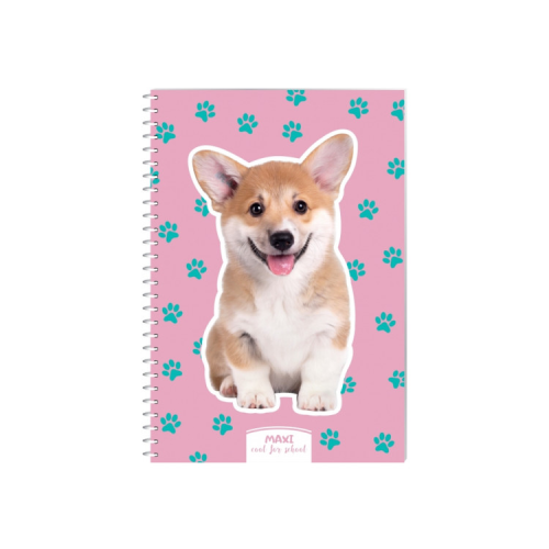 Блокнот Maxi А5, пластикова обкладинка, спіраль, 60 арк., клітинка (MX21213-13)