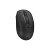 Мишка A4Tech FB10CS Wireless/Bluetooth Stone Black (4711421967594)