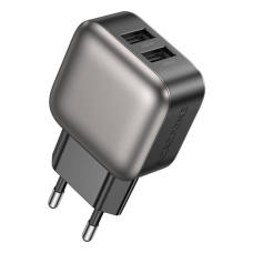 Зарядное устройство BOROFONE 2xUSB BAS51A black (6941991116100)