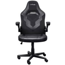 Крісло ігрове Trust GXT703 Riye Black (25128)
