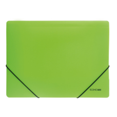 Папка на резинках Economix А4 фактура "оранж", салатовая (E31633-13)