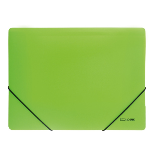 Папка на резинках Economix А4 фактура "оранж", салатовая (E31633-13)