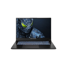 Ноутбук Dream Machines RG5050-17 (RG5050-17UA35)