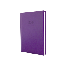 Тижневик Economix датований 2024 PRINCIPE бузковий, А5 (E21690-12)