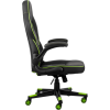 Крісло ігрове 2E Gaming Hebi Black/Green (2E-GC-HEB-BK)