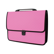 Папка - портфель Economix на застежке, фактура Вышиванка, розовый (E31641-09)