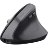 Мишка Trust Bayo + Ergonomic Wireless/Bluetooth Black (25146)