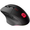 Мишка Canyon Crusader GMW-13 RGB Wireless Black (CND-SGMW13)