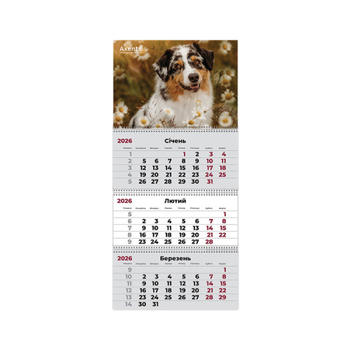 Календар Axent настінний квартальний на 2026 р. (3 пружини) Dogs 1 (8803-26-16-A)