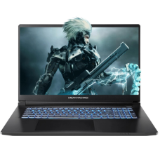 Ноутбук Dream Machines RT5050-17 (RT5050-17UA24)
