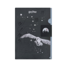 Папка – уголок Kite с клапаном A4 Harry Potter- 2 (HP25-248-2)