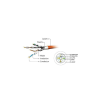 Патч-корд 0.25м S/FTP Cat 6A CU LSZH green Cablexpert (PP6A-LSZHCU-G-0.25M)