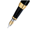Ручка пір'яна Waterman EXCEPTION Ideal Black GT  FP F (11 027)