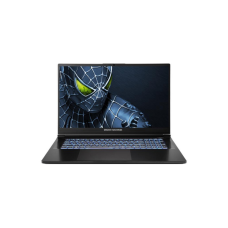 Ноутбук Dream Machines RG5050-17 (RG5050-17UA24)