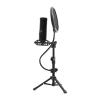 Микрофон Lorgar Voicer 721 (LRG-CMT721)