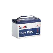 Батарея LiFePo4 Timeusb 12.8V 100Ah Low-Temp 1280Wh BMS 100A (T12V100-100-TM-4-A100)