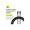 Дата кабель USB-C to USB-C 1.0m 100W black Baseus (P10374902111-00)