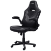 Крісло ігрове Trust GXT703 Riye Black (25128)