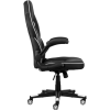 Крісло ігрове 2E Gaming Hebi Black/White (2E-GC-HEB-BKWT)