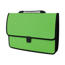 Папка - портфель Economix на застежке, фактура Вышиванка, салатовый (E31641-13)