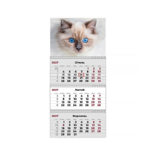 Календар Axent настінний квартальний 2027 р.,3 пр. Cats 2 (8803-27-8-A)