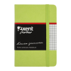 Канцелярская книга Axent Partner, 95*140, 96sheets, square, light green (8301-04-А)