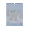 Календар Buromax настінний А3 2027 рік, 1 пружина, Cute goat (BM.210601)