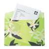 Папка - конверт Buromax А4 на кнопці, PLUMERIA ARABESKI, напівпрозора, салатова (BM.3943-15)