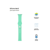 Ремешок для смарт-часов Armorstandart Sport Band (3 Straps) для Apple Watch 42 (Series 11-10)/41/40/38 Spearmint (ARM57872)