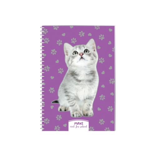 Блокнот Maxi А5, пластикова обкладинка, спіраль, 60 арк., клітинка (MX21213-10)