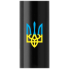 Ручка кулькова Parker IM 17 UKRAINE Black GT BP Тризуб синьо-жовтий (22032_T0016u)
